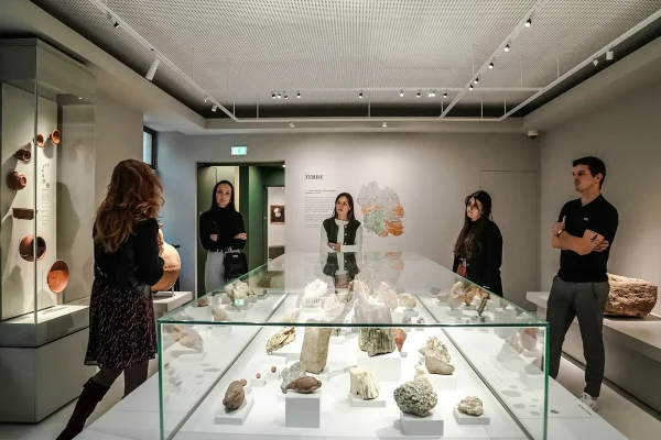 Salle du Musée du Gévaudan