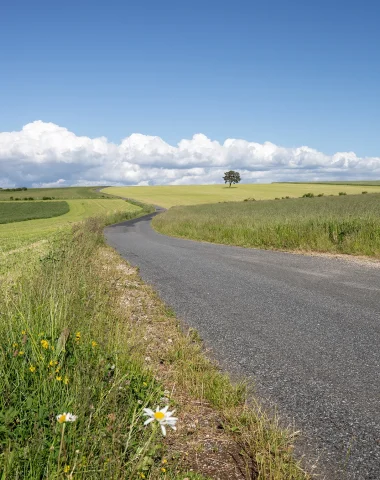 Route sur le Causse Méjean