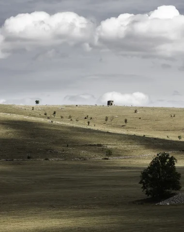 Steppes du Causse Méjean