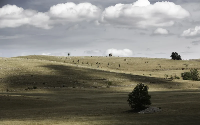 Steppes du Causse Méjean