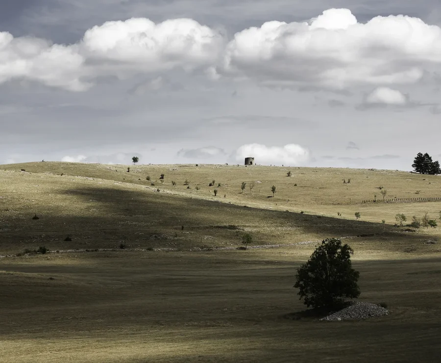 Steppes du Causse Méjean