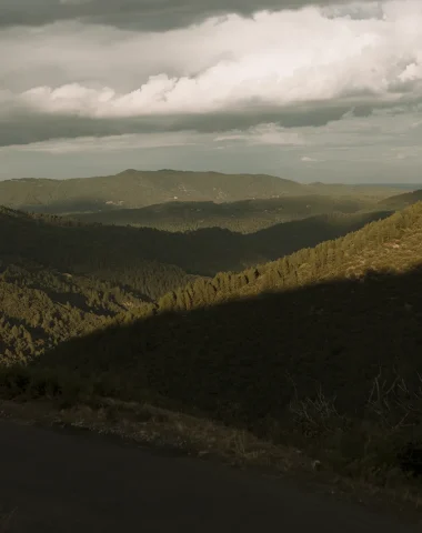 Panorama sur la vallée cévenole