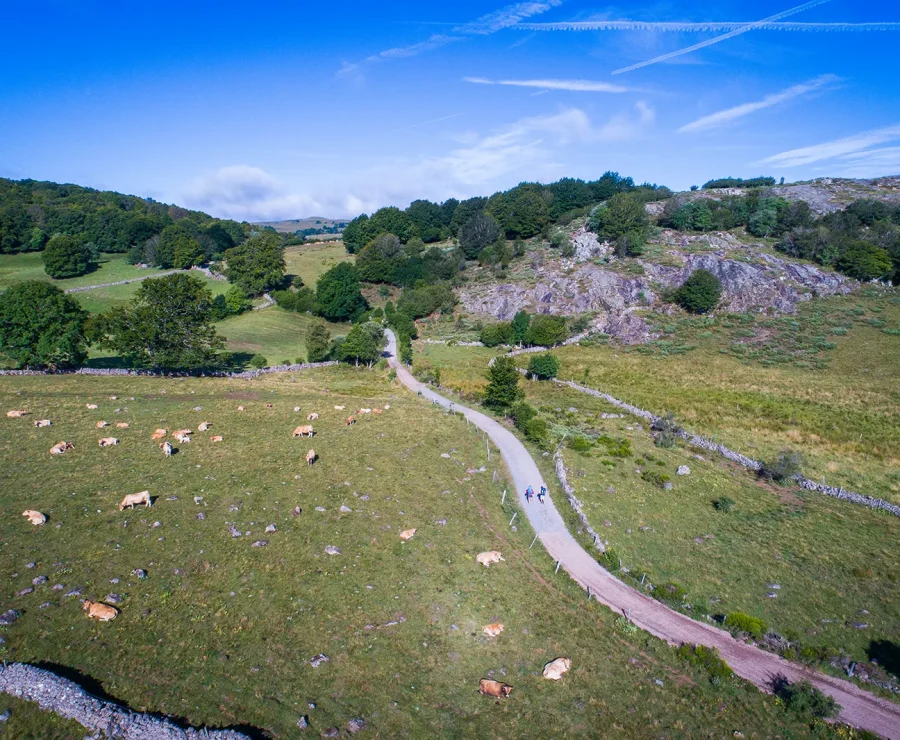 Randonneurs sur l'Aubrac