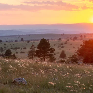 Couché de soleil