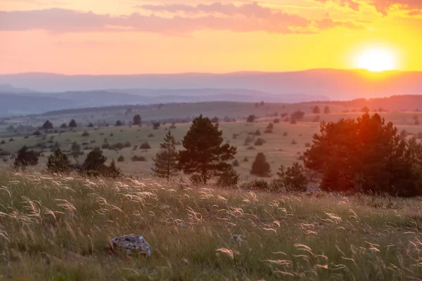 Couché de soleil