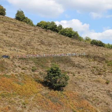 Peloton de cyclistes