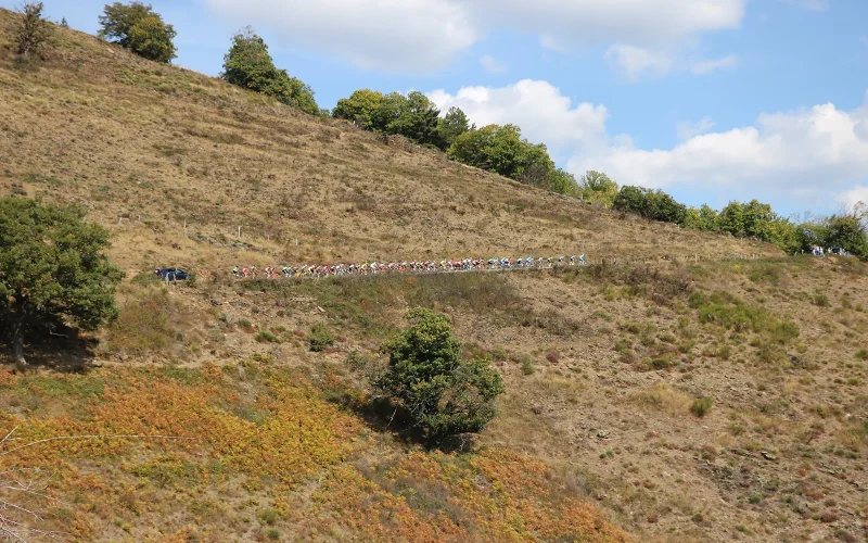 Peloton de cyclistes