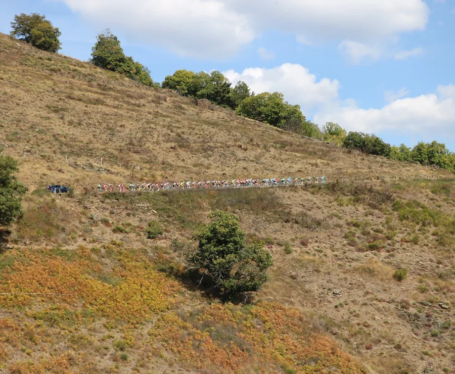 Peloton de cyclistes
