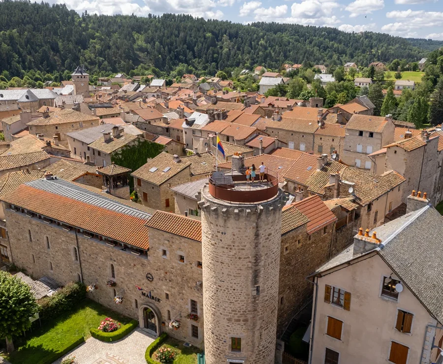 Vue aérienne sur le Malzieu