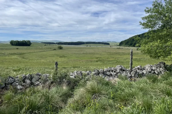 Randonnée sur l'Aubrac