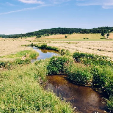 Rivière en Margeride