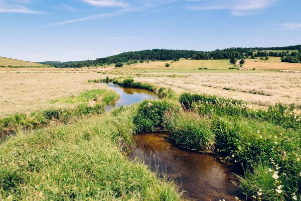 Rivière en Margeride