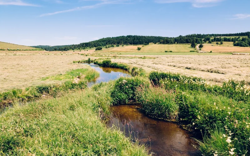 Rivière en Margeride