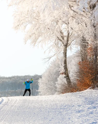 Ski sur l'Aubrac