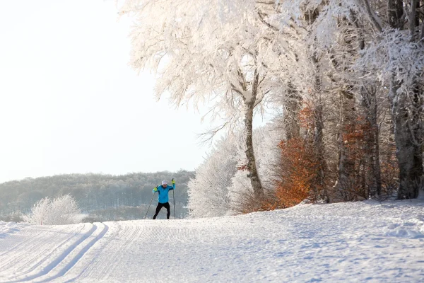 Ski sur l'Aubrac