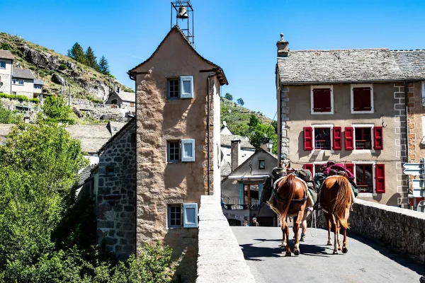 Pont et chevaux au Pont-de-Montvert