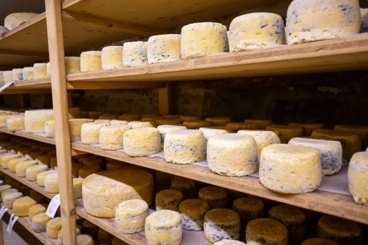Cave d'affinage de tome