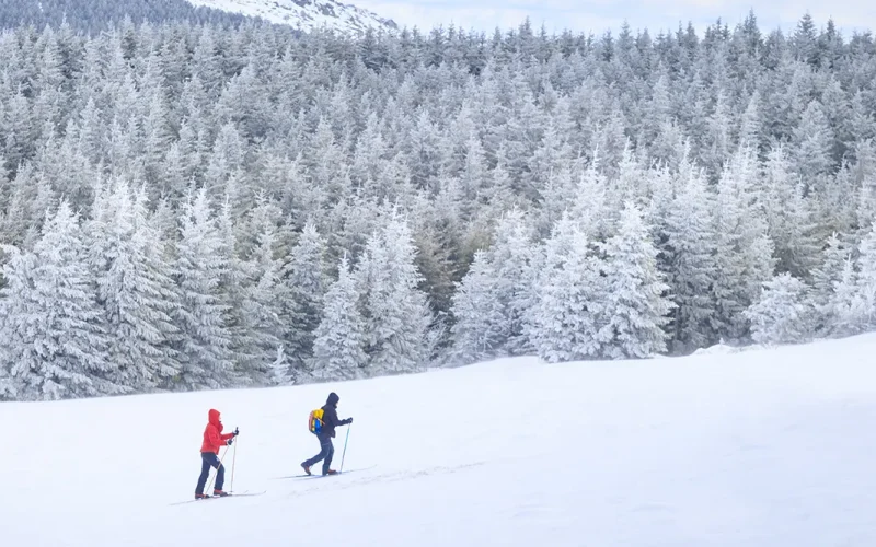 Couple en randonnée en raquettes sur le Mont-Lozère