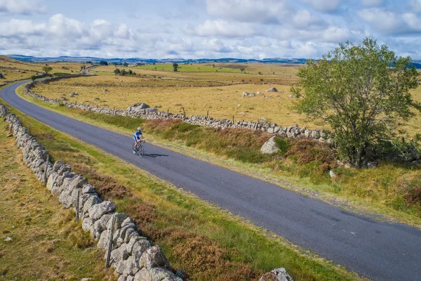 Cycliste sur les routes d'Aubrac
