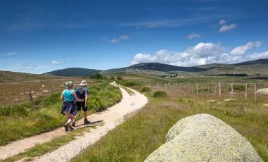 Randonneurs sur un chemin du Mont-Lozère