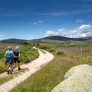 Randonneurs sur un chemin du Mont-Lozère