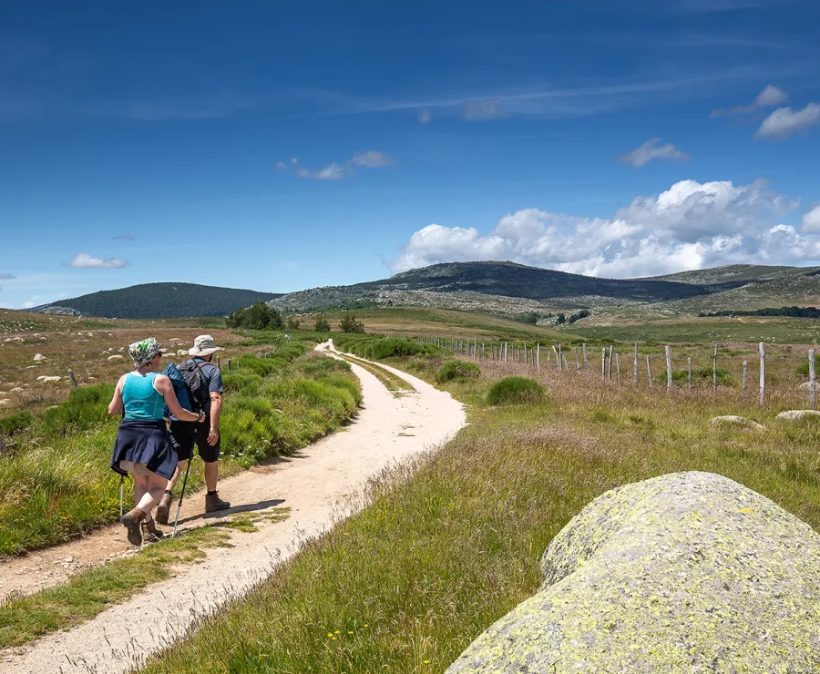 Randonneurs sur un chemin