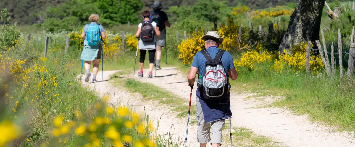 Randonneurs sur le chemin de Saint Jacques de Compostelle
