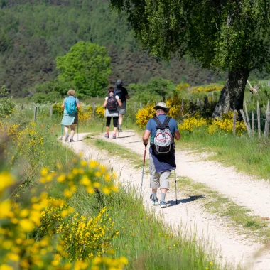 Randonneurs sur le chemin de Saint Jacques de Compostelle