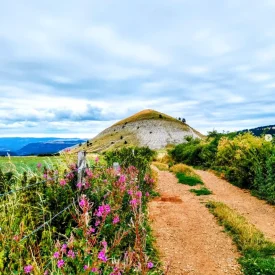 Cham des Bondons