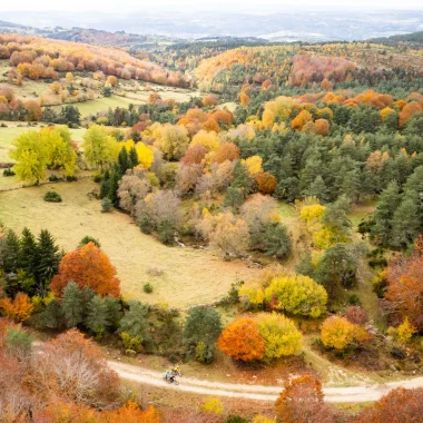 Paysage automne