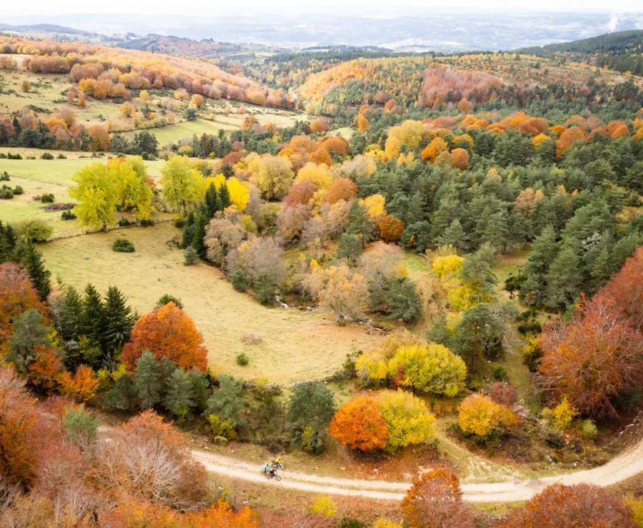 Paysage automne