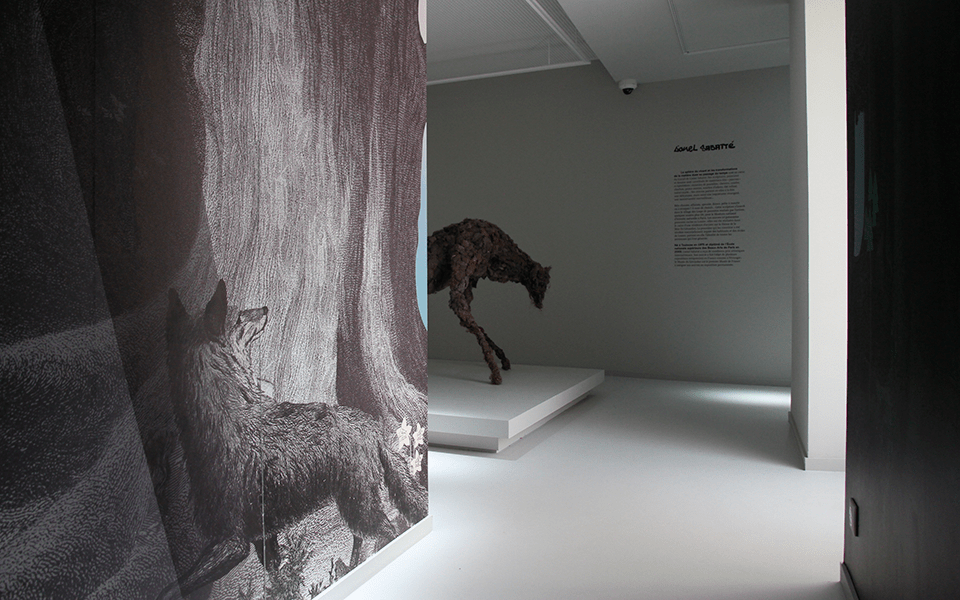 musee du gevaudan mende lozere exposition